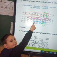 Se încarcă