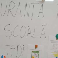 Se încarcă
