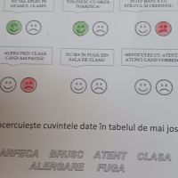 Se încarcă
