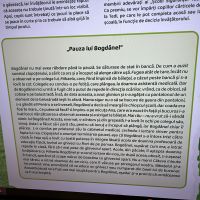 Se încarcă
