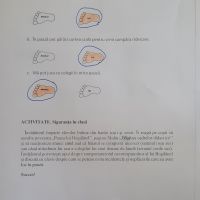 Se încarcă