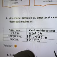 Se încarcă