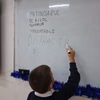 Se încarcă