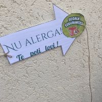Se încarcă