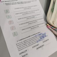 Se încarcă