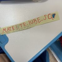 Se încarcă