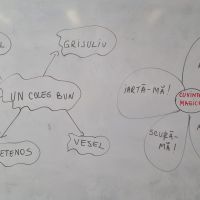 Se încarcă