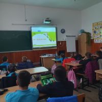 Se încarcă
