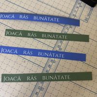 Se încarcă