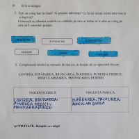 Se încarcă