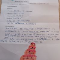Se încarcă