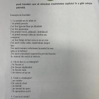 Se încarcă