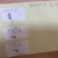 Se încarcă