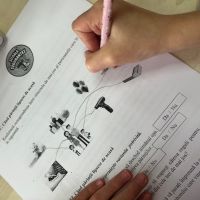 Se încarcă