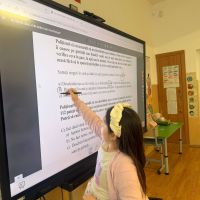 Se încarcă
