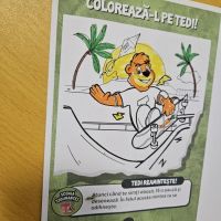 Se încarcă