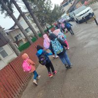 Se încarcă