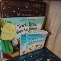 Se încarcă