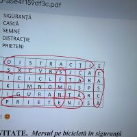 Se încarcă
