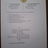 Se încarcă