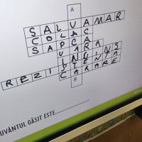 Se încarcă